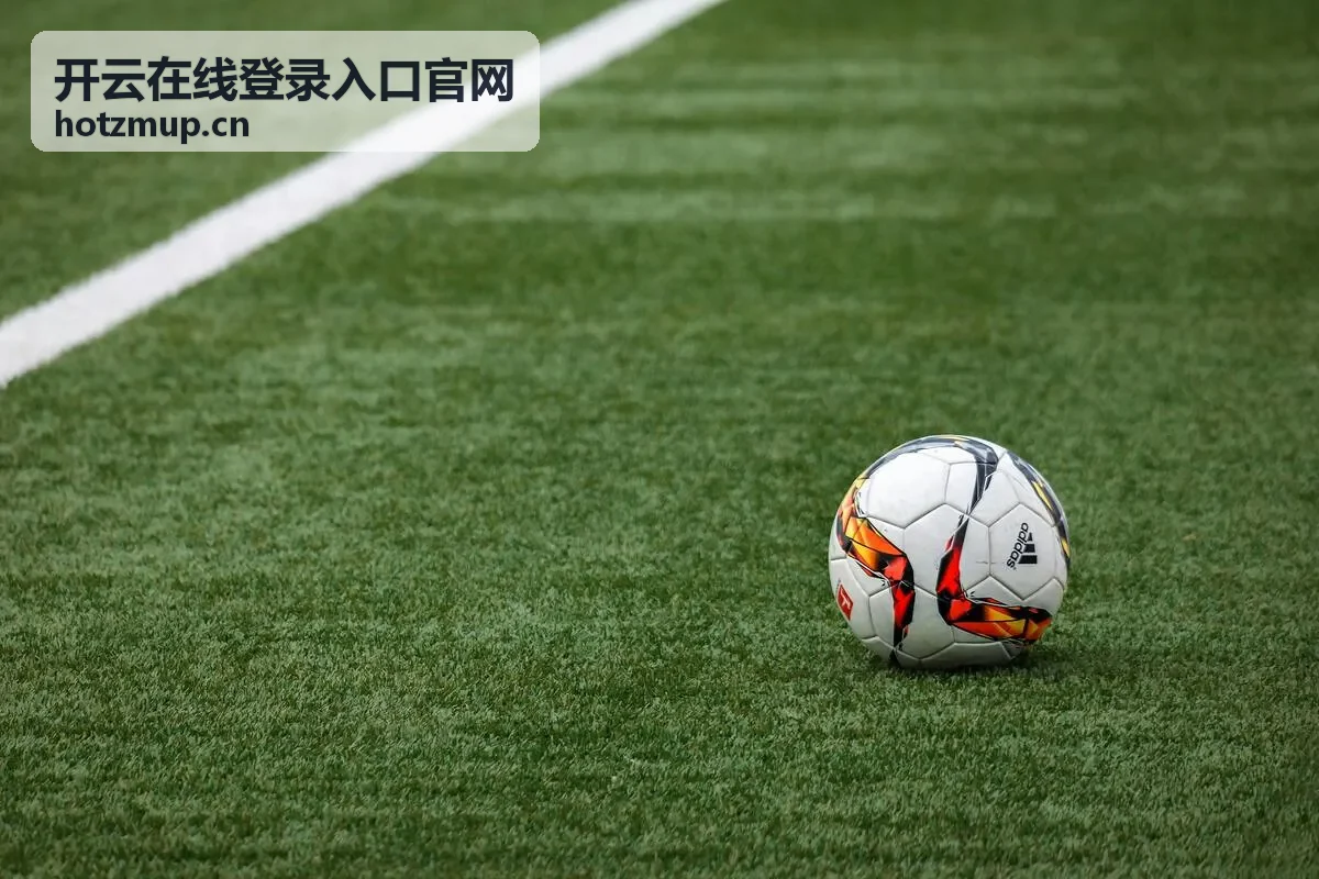 开云在线登录入口官网主题演讲分享者头像